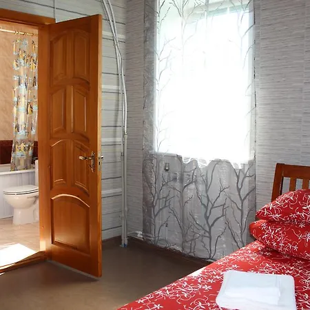 Camelia Minsk