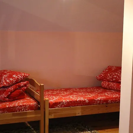 Camelia Guest house
